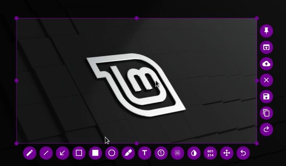 Окно захвата Flameshot