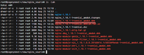 Готовый .deb пакет Nginx в каталоге сборки