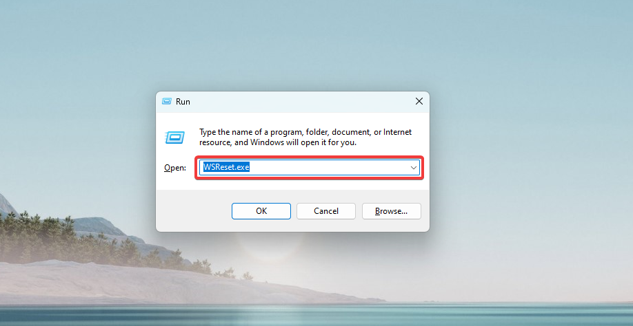 Окно выполнения команды WSReset.exe