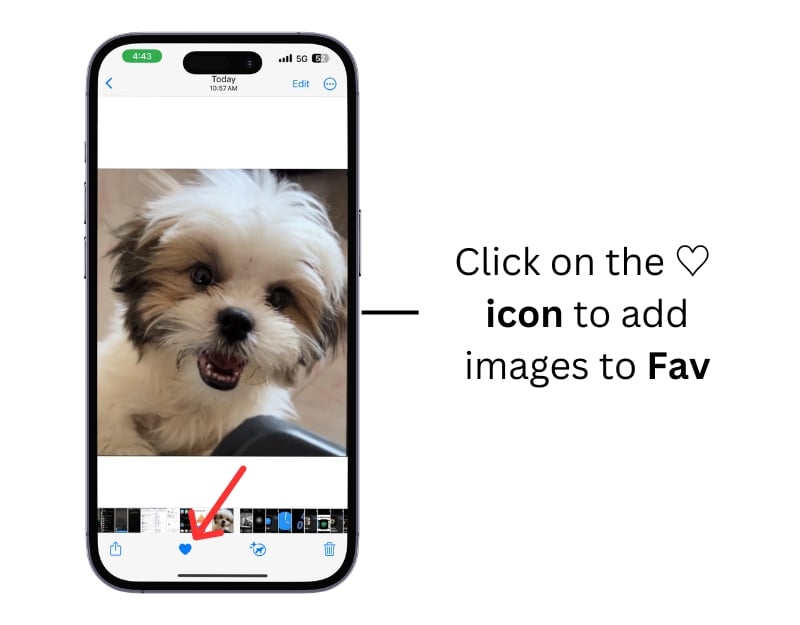 Добавление фотографий в Избранное на iPhone