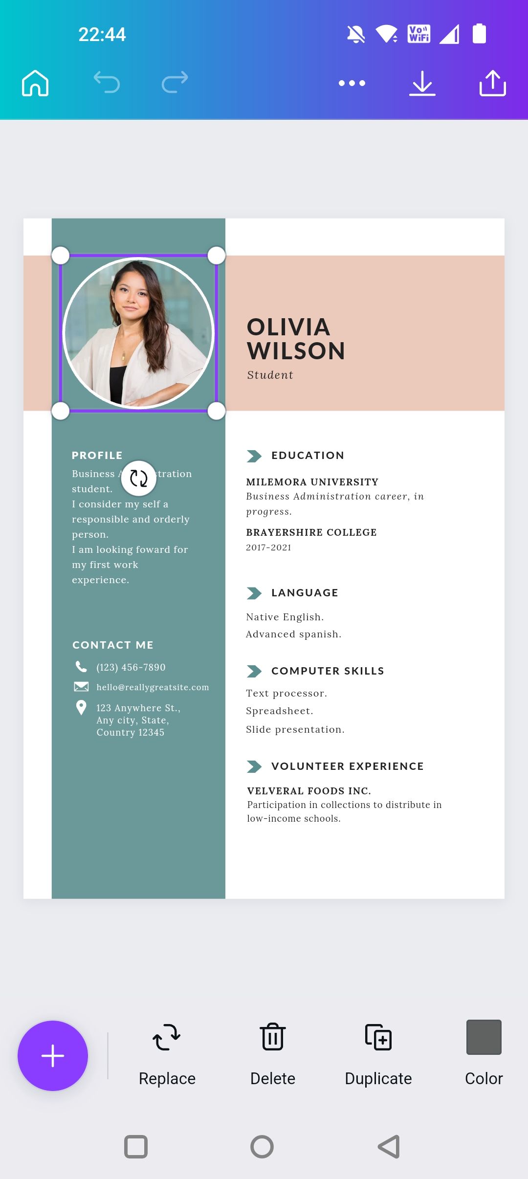 Ввод данных в резюме на телефоне