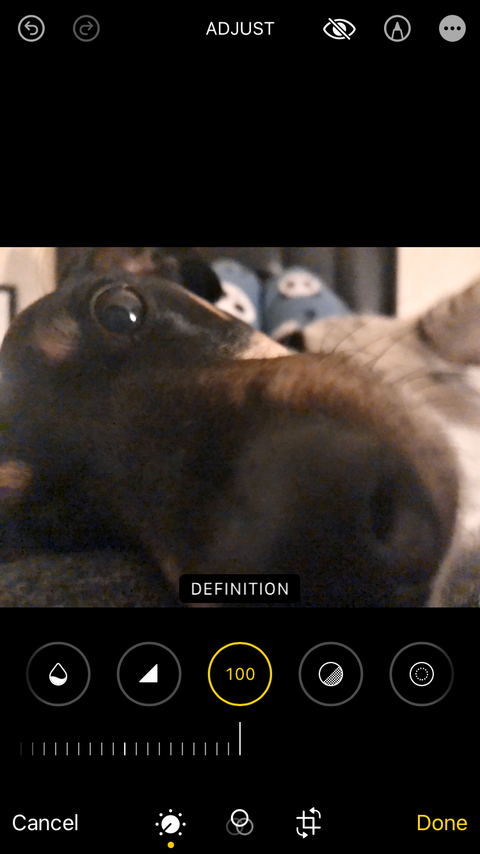 Применение Definition в Apple Photos