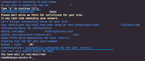 Результат установки с SSL