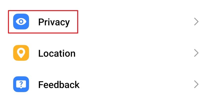 Опция Конфиденциальность в приложении Настройки.