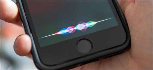 Отключить и удалить историю Siri в iOS 13.2