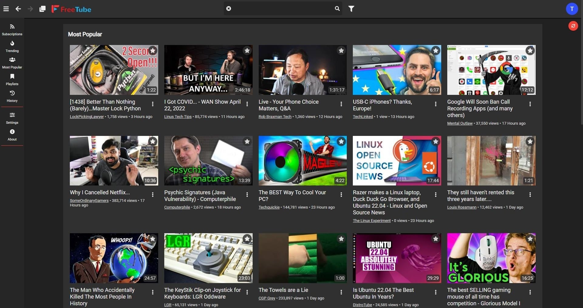 Интерфейс FreeTube на настольной системе