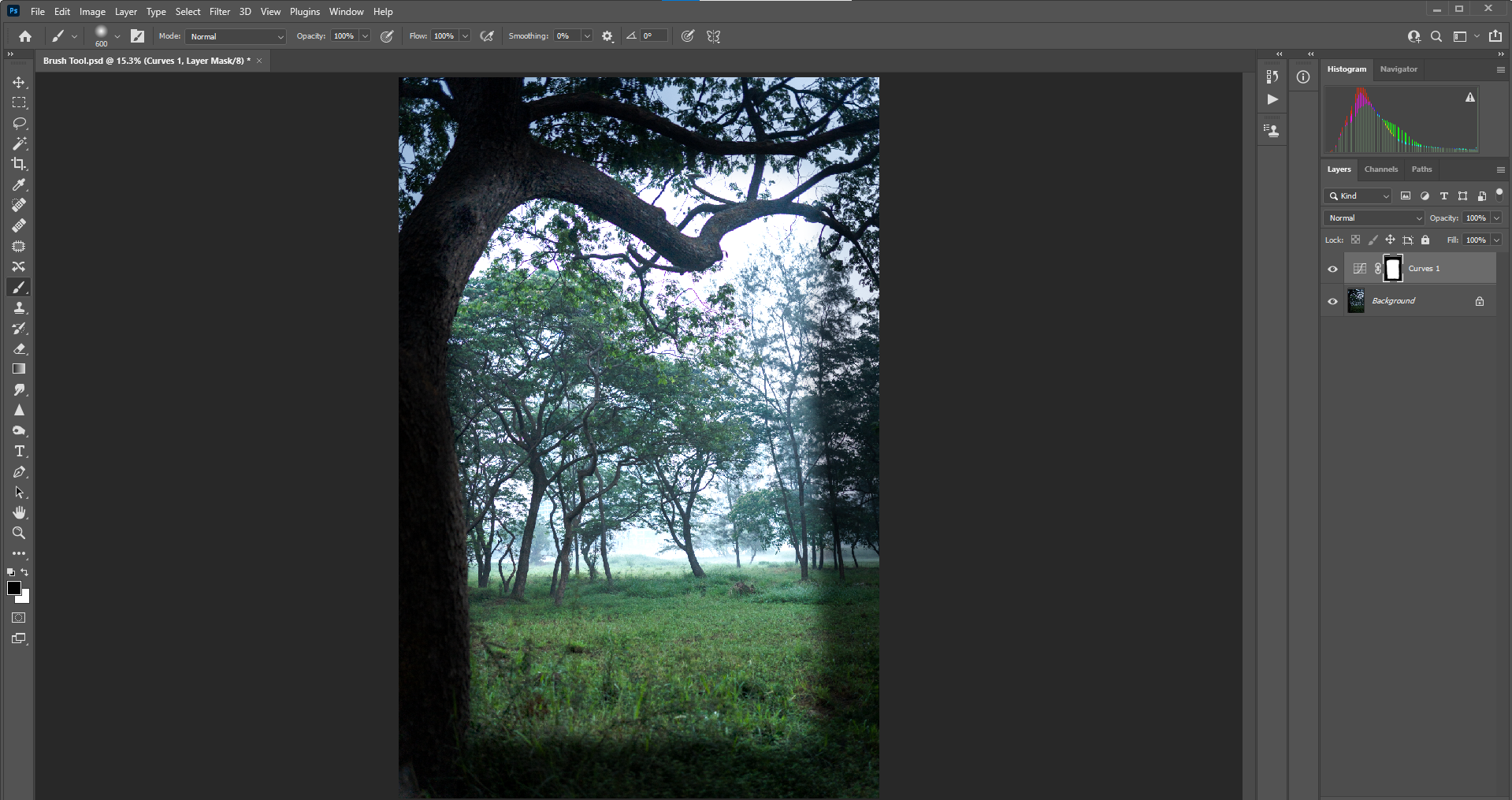 заполнение кистью при 100 процентов