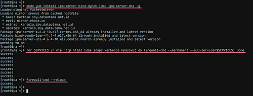 FreeIPA на CentOS 7: установка и настройка