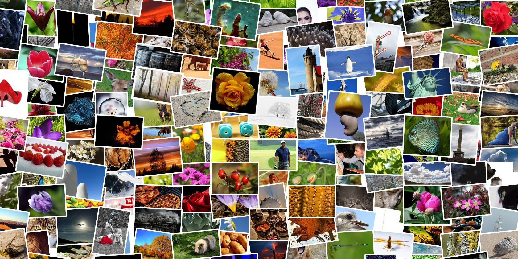 Как управлять фотоальбомами в Facebook