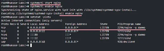 Moodle на Ubuntu 16.04: LEMP (Nginx, PHP-FPM, MySQL)