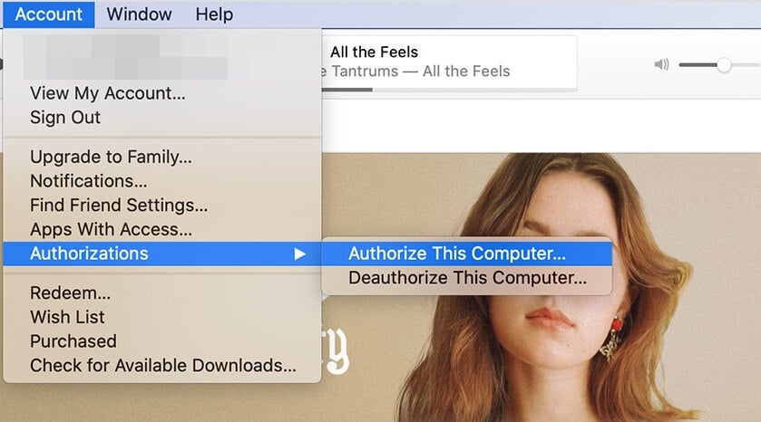 Диалог авторизации компьютера в iTunes — введите Apple ID при необходимости