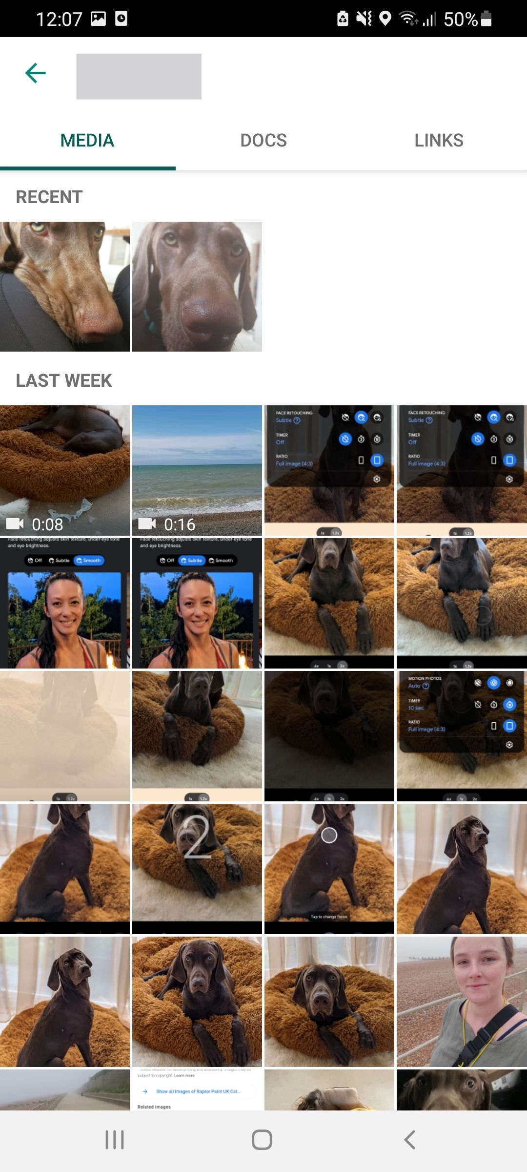 поиск медиа в чате WhatsApp