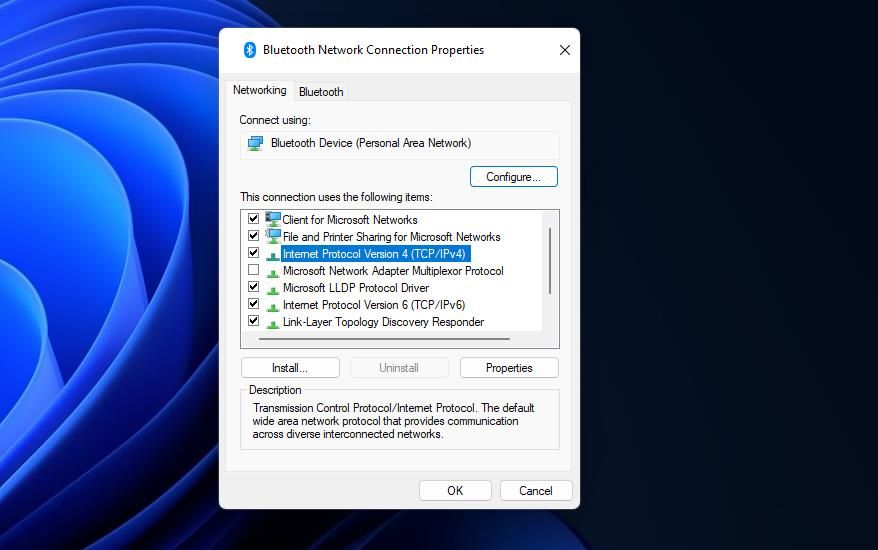The Internet Protocol Version 4 option