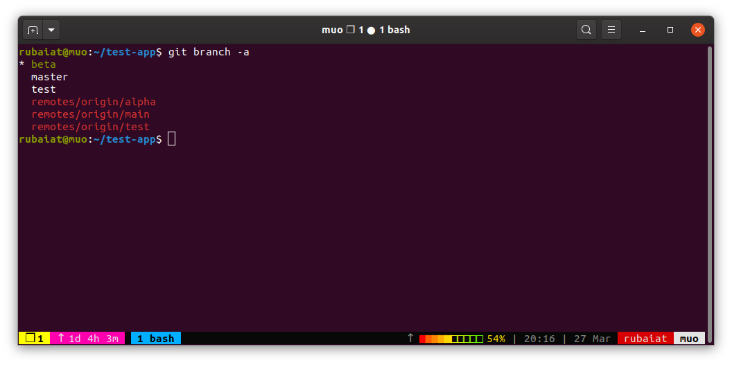 проверка переименованной локальной ветки