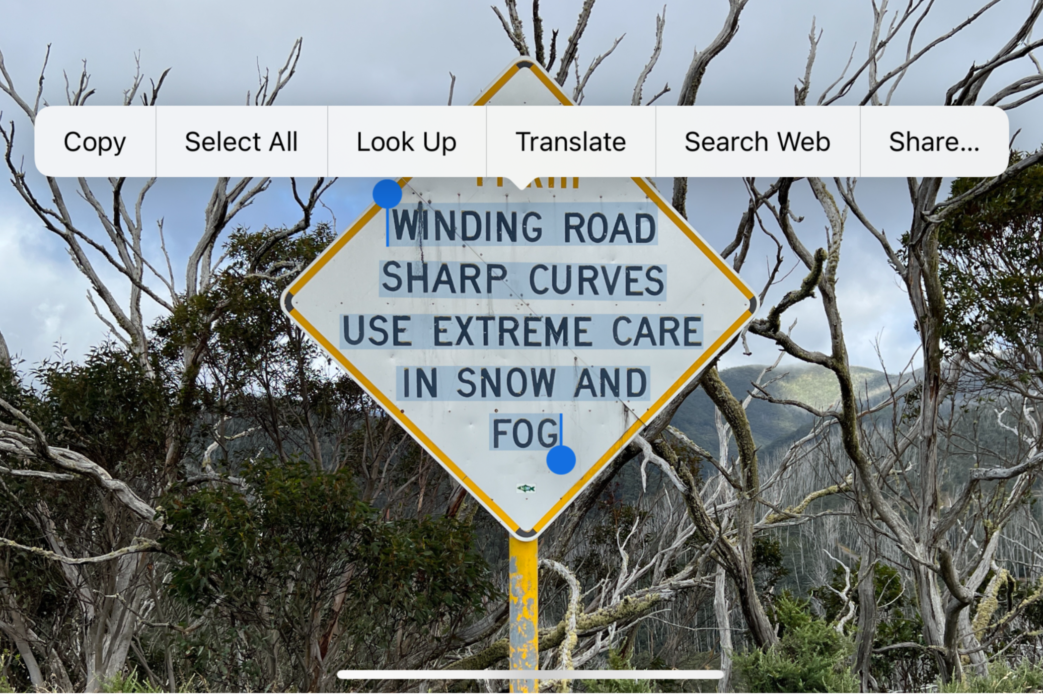 Копировать текст с фото на iPhone, iPad и Mac