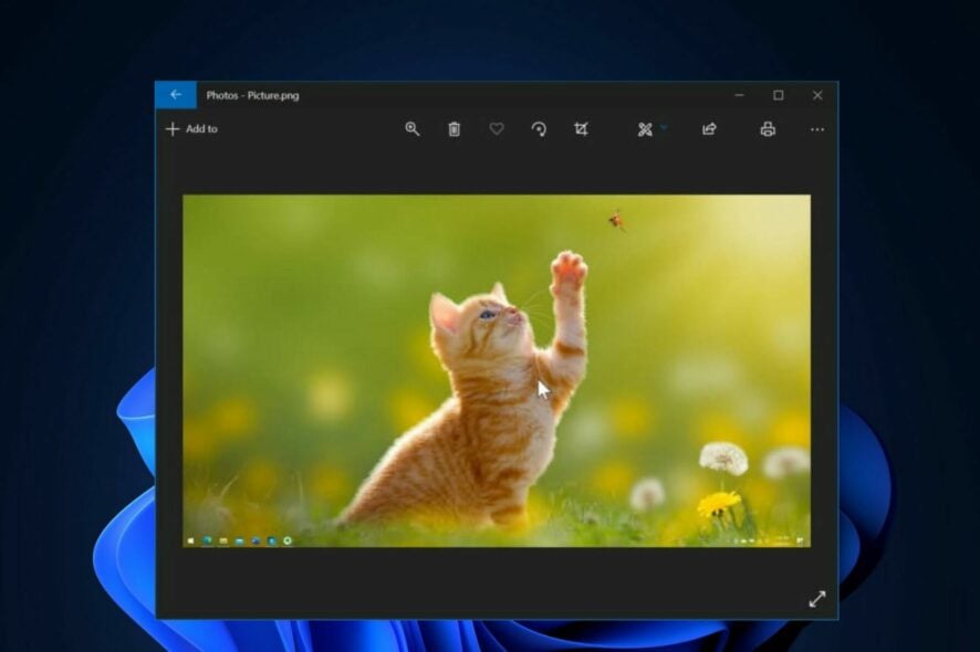Windows Photo Viewer не закрывается — как исправить