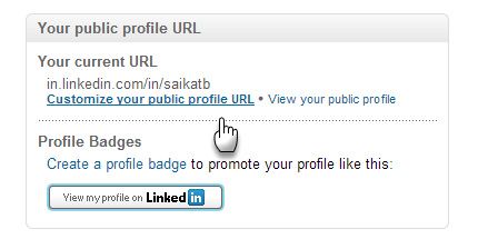 Скриншот настройки публичного URL