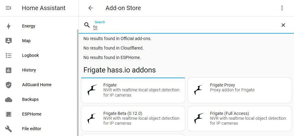 поиск и выбор frigate в списке дополнений