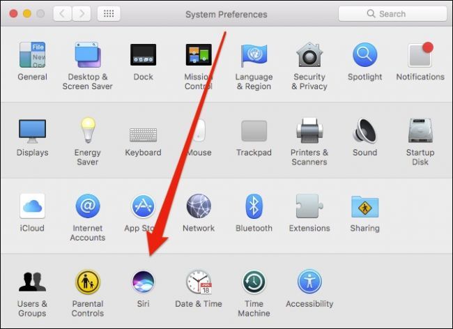 Окно системных настроек macOS: значок Siri и раздел настроек