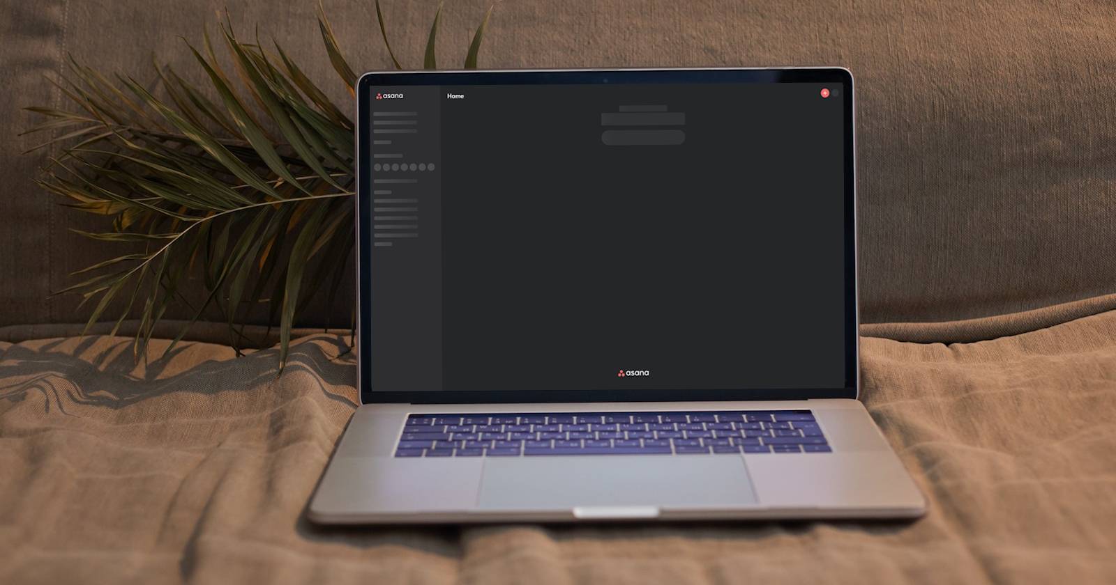 Приложение Asana на ноутбуке под Windows