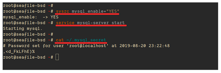 Вывод временного пароля MySQL