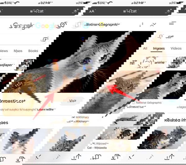 Результаты Google Lens в мобильном поиске