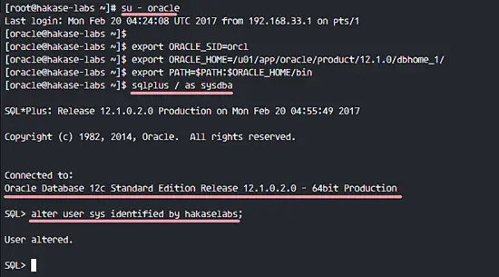 Работа sqlplus после установки