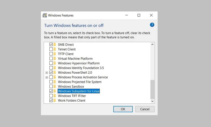 Опция «Подсистема Windows для Linux» на странице компонентов Windows