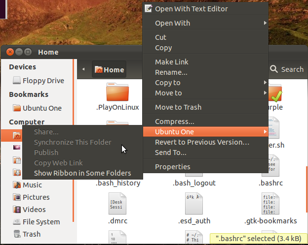/wordpress/wp-content/uploads/2012/03/ubuntu-one-6.png