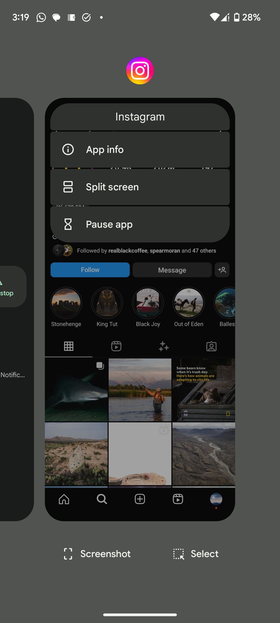 Опция App Info в Overview