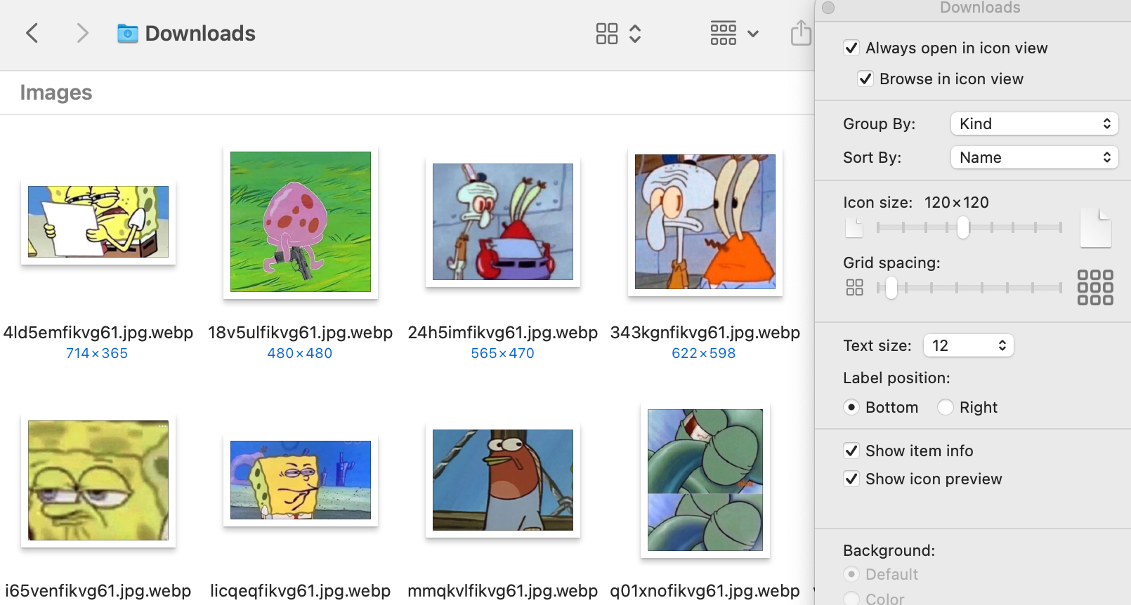 Скриншот режима значков в Finder macOS.