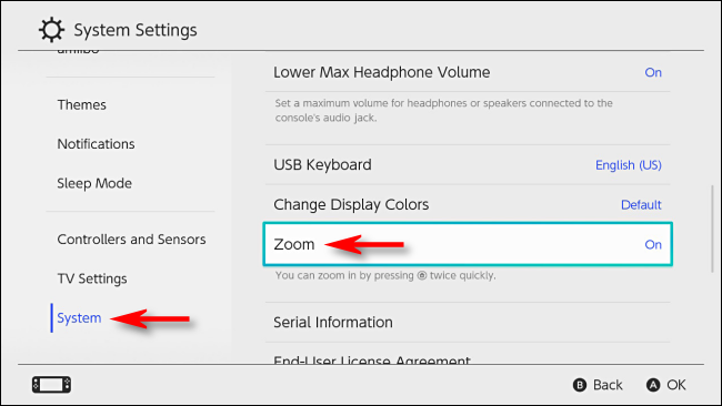 Включение Zoom в Системных настройках Nintendo Switch