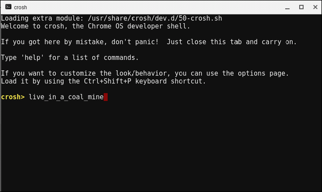 Ввод команды live_in_a_coal_mine в CROSH после включения режима разработчика