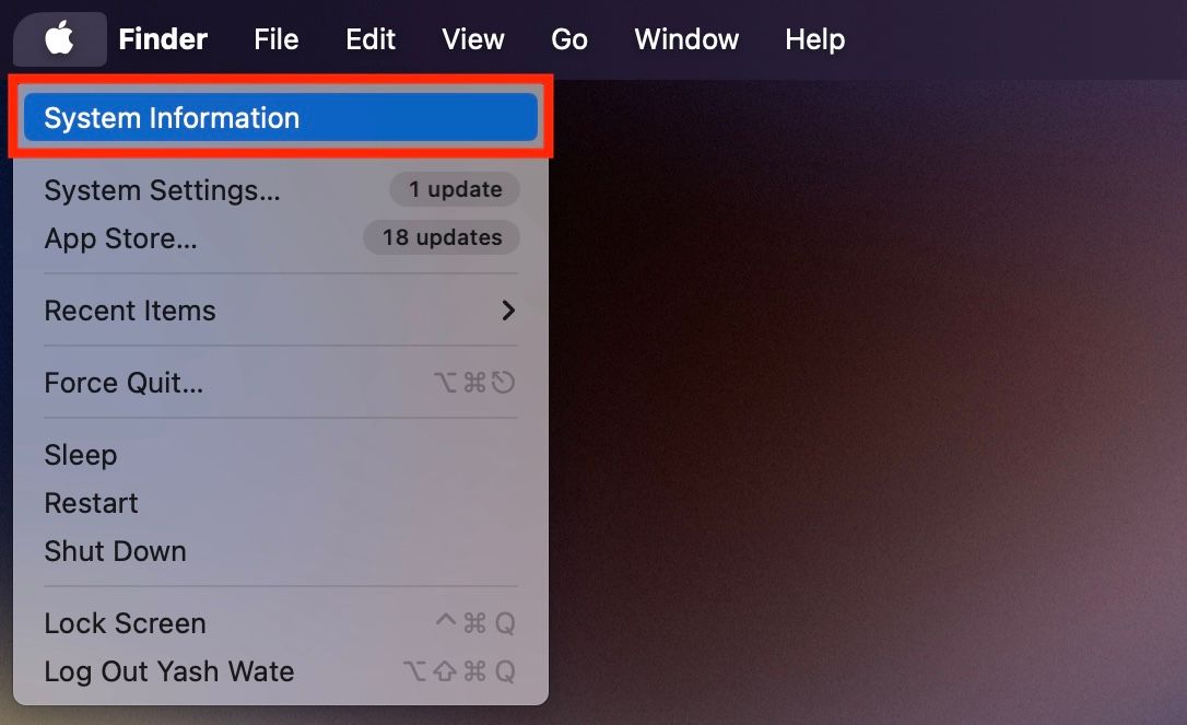 Доступ к сведениям о системе на MacBook через меню Apple с зажатой клавишей Option.
