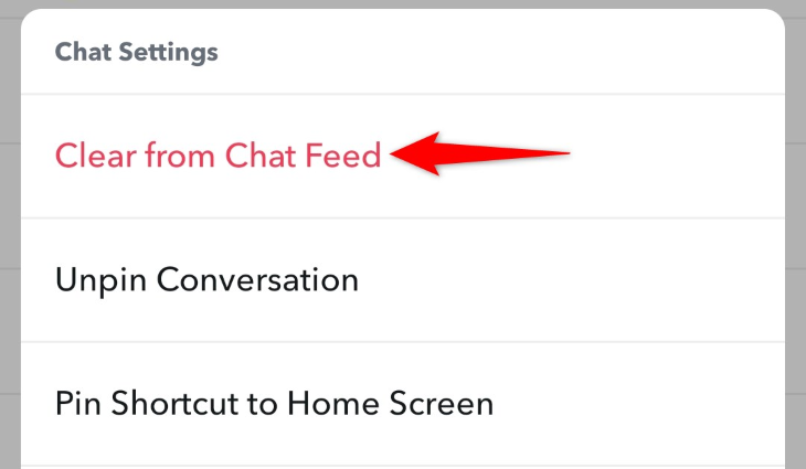 Выберите «Очистить из ленты чата».