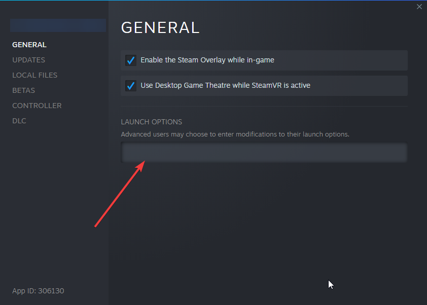 Параметры запуска в Steam