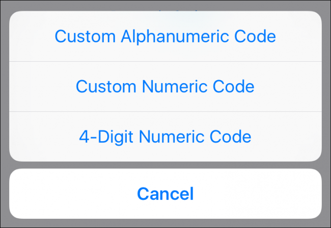 Выбор типа кода на iOS