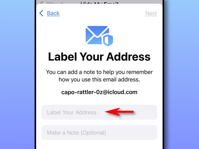 Enter a label for the random email address.