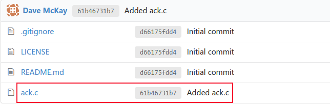 Файл появился в репозитории после push