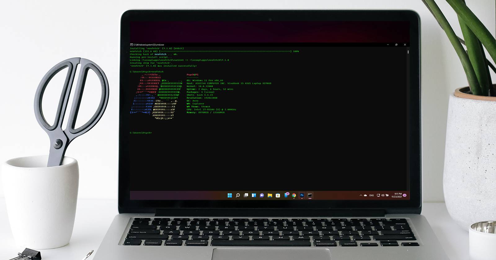Neofetch отображает информацию о системе в Windows 11.