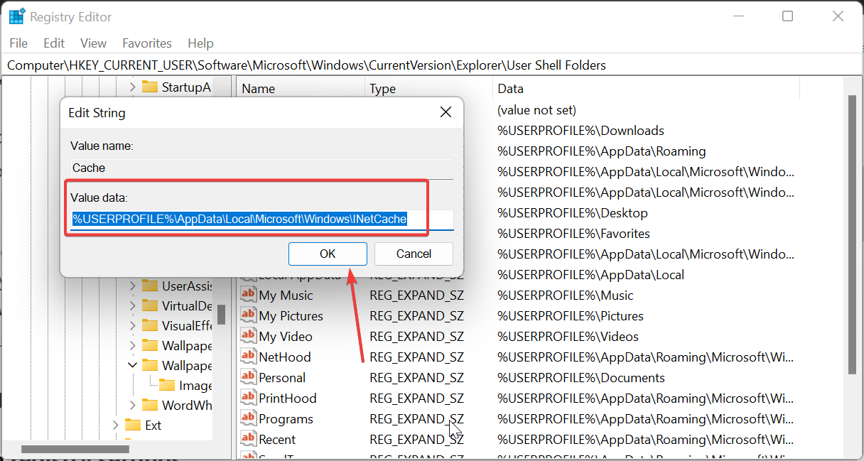 Поле Value data с корректным путём INetCache.
