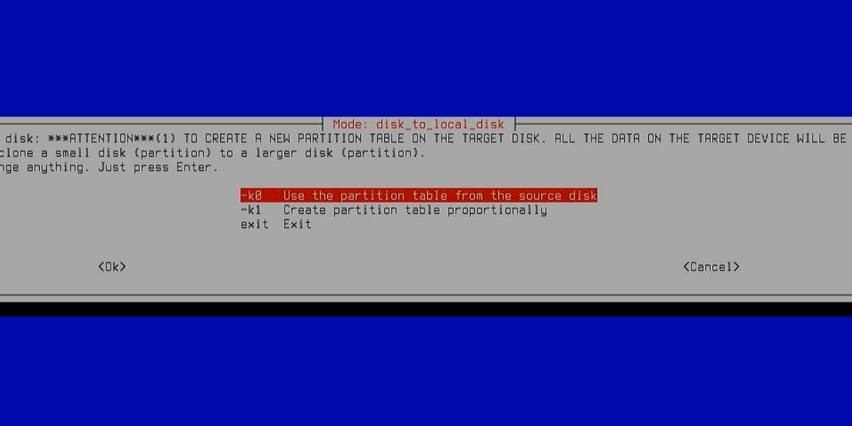 Опции таблицы разделов в Clonezilla