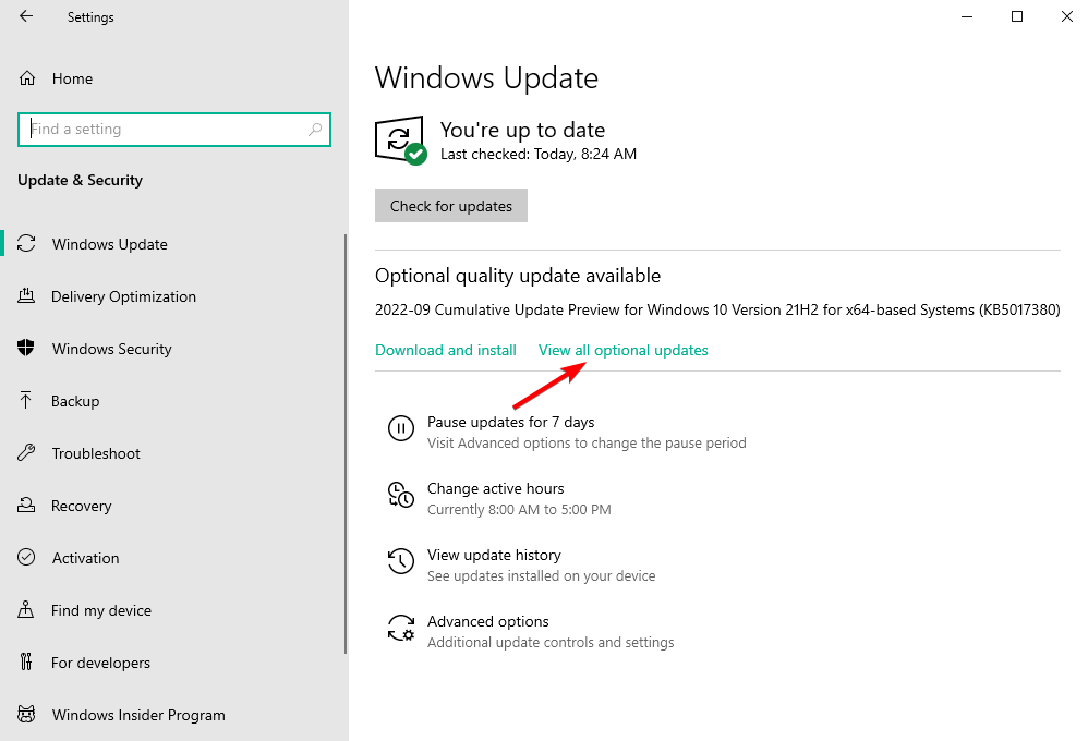 opt-updates faulting application path