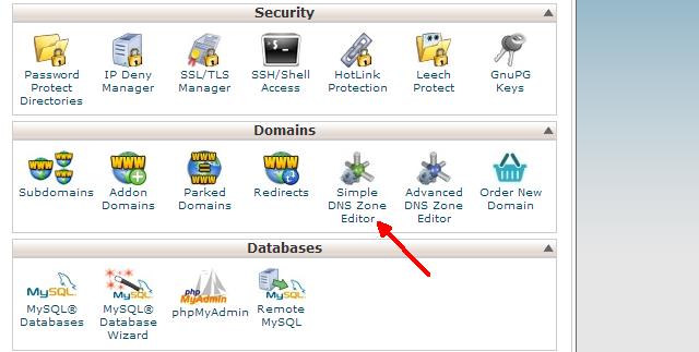 В интерфейсе cPanel значок Simple DNS Zone Editor в разделе Domains
