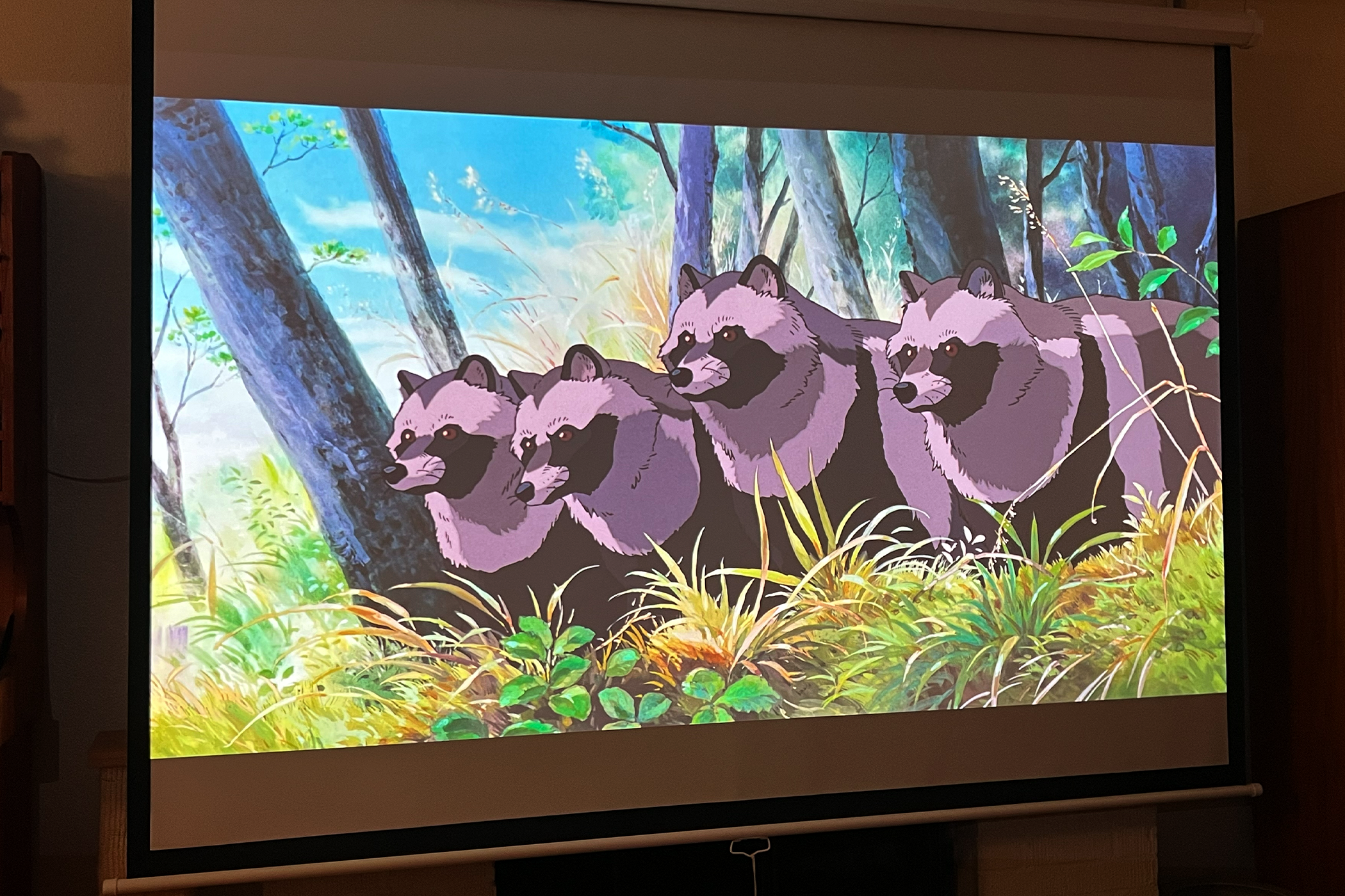 Просмотр «Пом-Поко» на XGIMI Horizon Ultra при рассеянном освещении