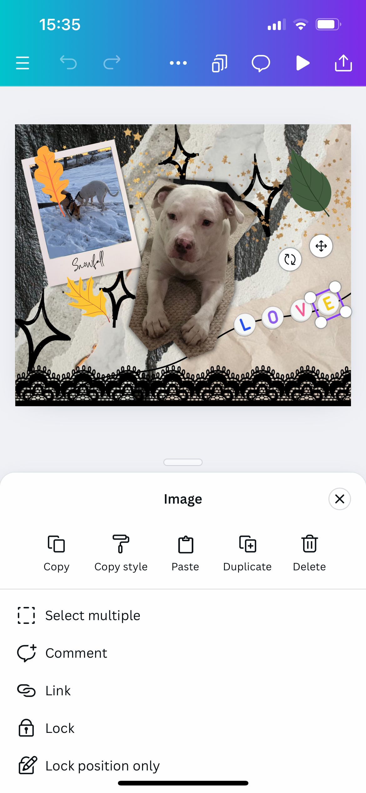 Выбор нескольких элементов в приложении Canva 2