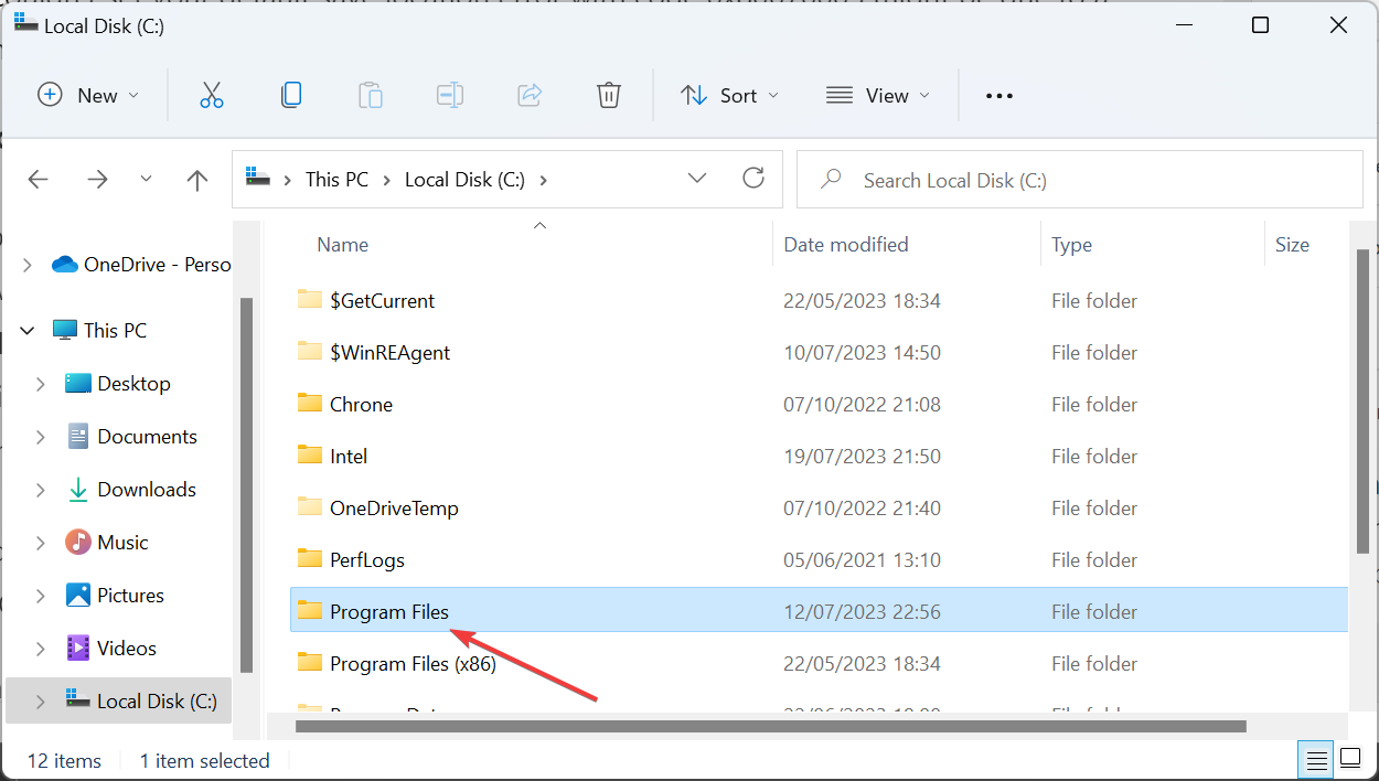 Папка Program Files в Проводнике Windows
