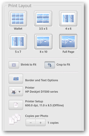 Окно печати в Picasa