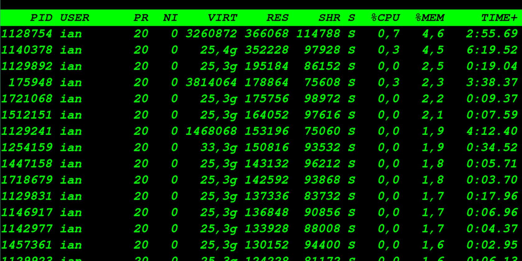 Сортировка процессов по памяти в top
