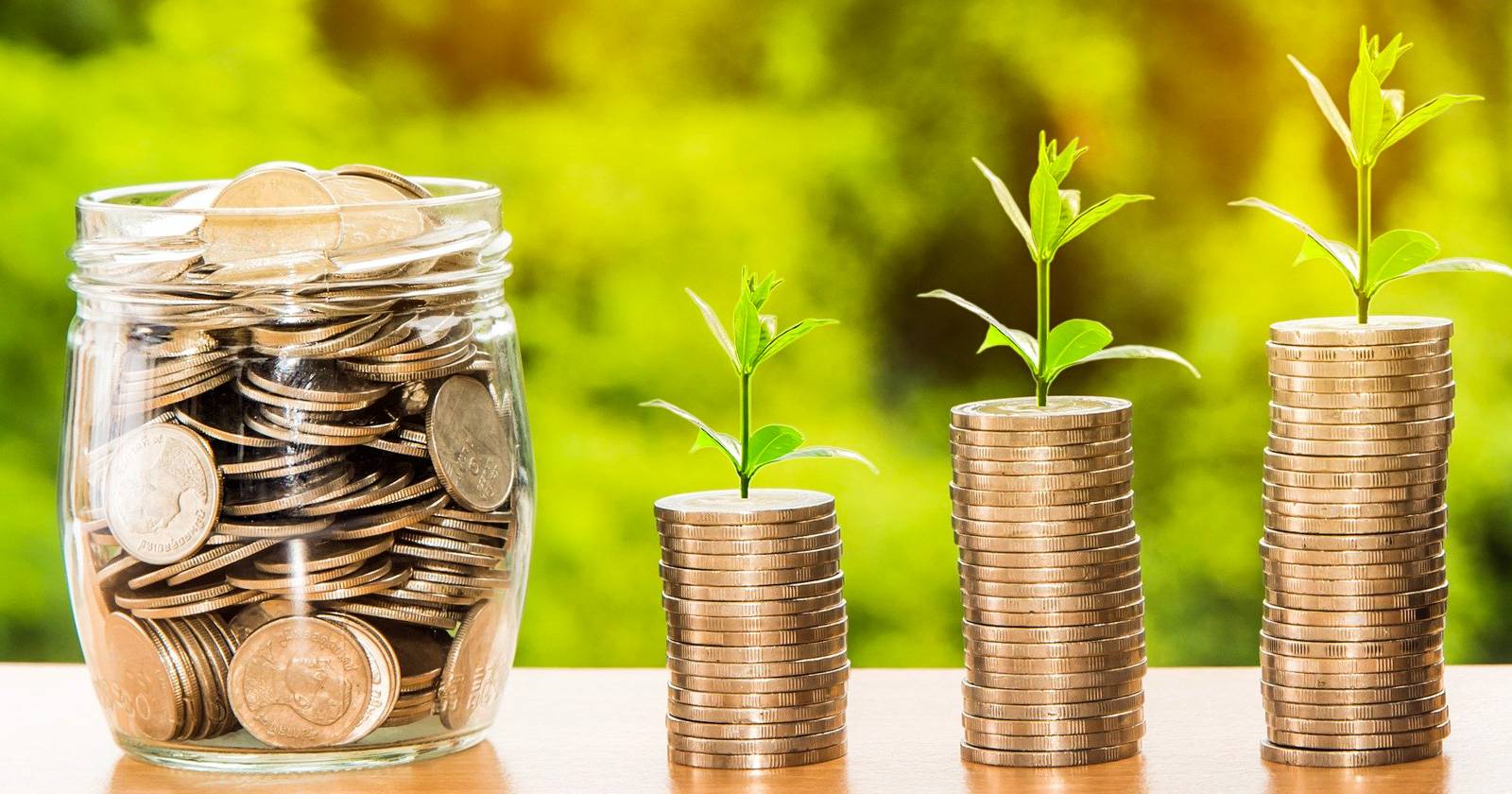 Как начать фармить Chia — руководство по Proof of Space